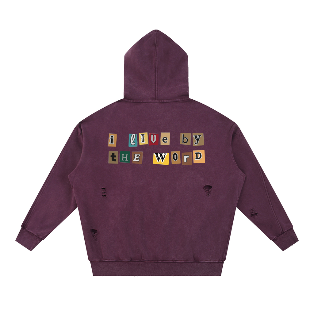 The Word Snow Washed Distressed Panel Pocket Hoodie
